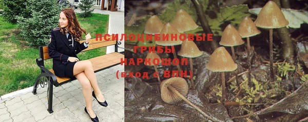 Альфа ПВП Баксан