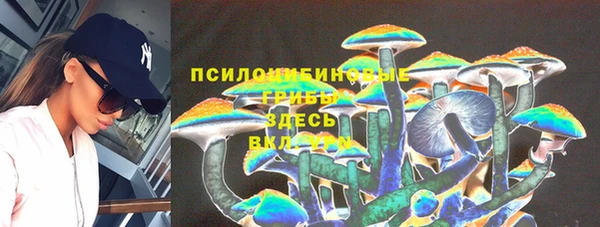 Альфа ПВП Баксан