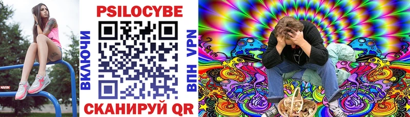 купить наркотики цена  Иркутск  Галлюциногенные грибы Psilocybine cubensis 